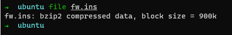 firmware's first status